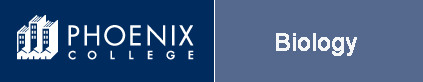 Phoenix College: Go Far, Close to Home
