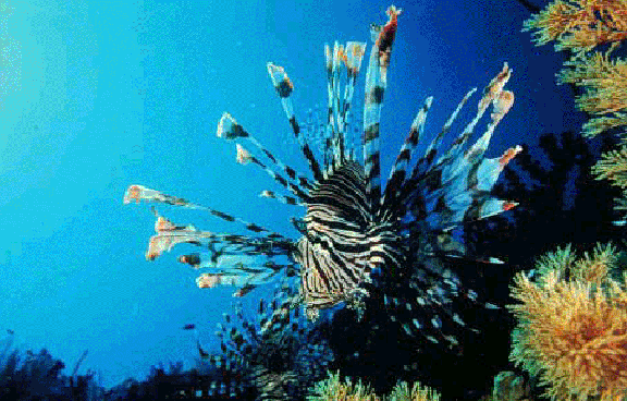 Marine Biology Class in