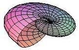 Snail
