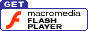 Flash Player Download