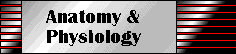 Anatomy & Physiology
