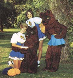 Bear mascot