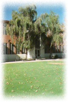 Engineering Sciences Building