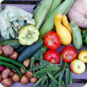 Vegetable Gardening