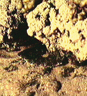 Lab09_3_2